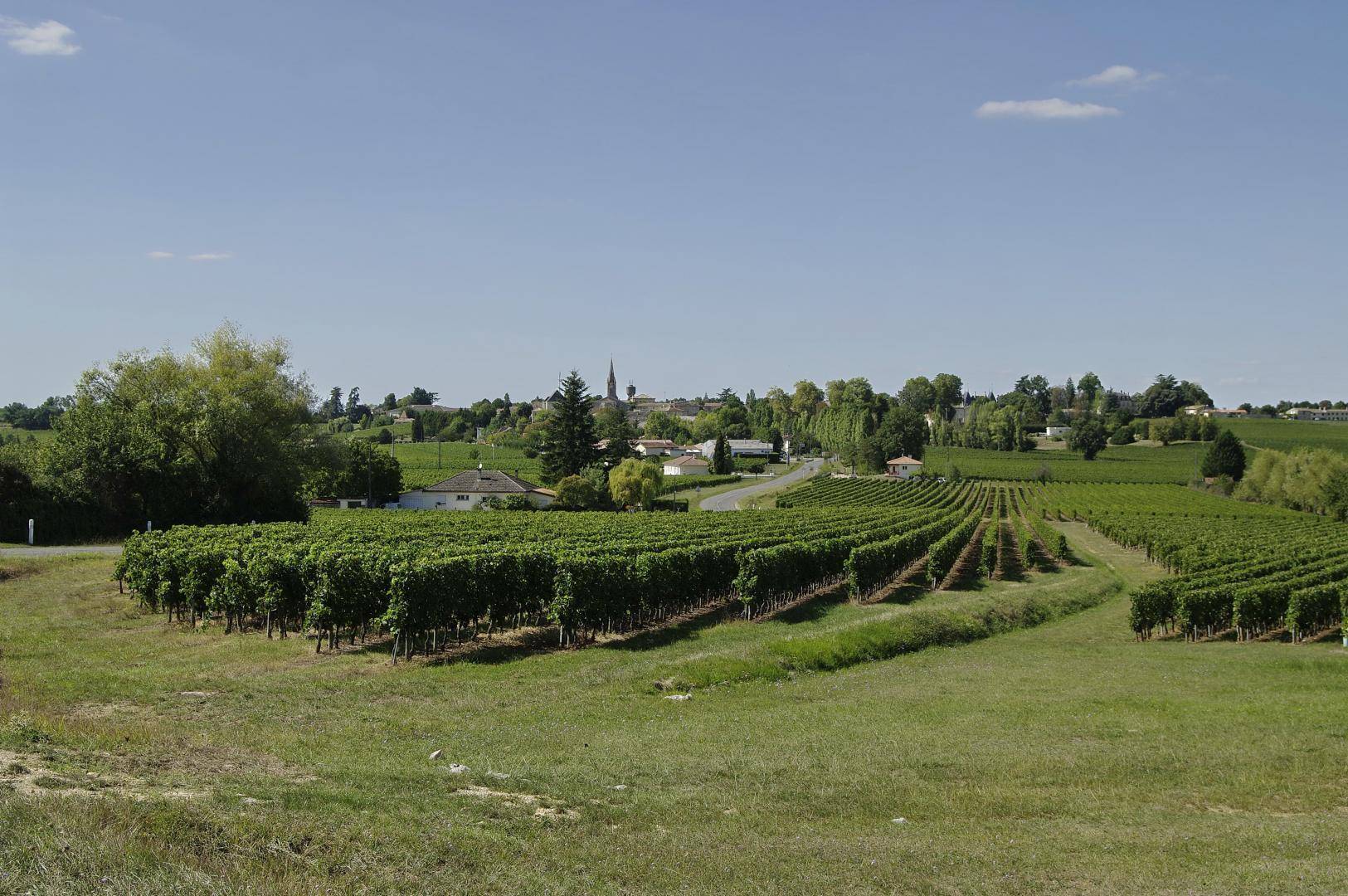 dgustation vin Coutras - Chteau Vieux-Busquet