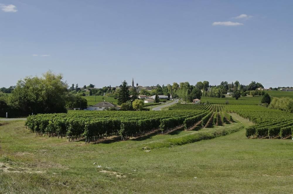 vente de vin à la propriété Les Artigues-de-Lussac